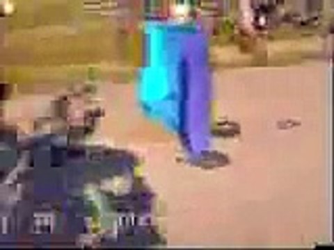 Black Russian Terrier Ruso Negro