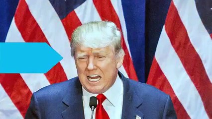 Donald Trump Staffer Fired Over Racially Charged Facebook Posts