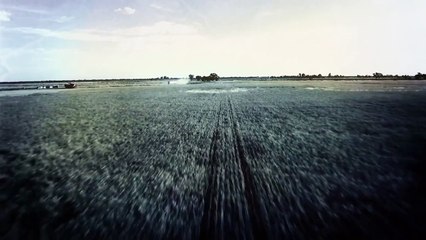 Julio Chávez SIGNOS Promo  TNT