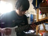 Red Hot Chili Peppers-Rivers Of Avalon cover guitar