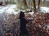 Staffordshire Bull Terrier - The Dancing Bear