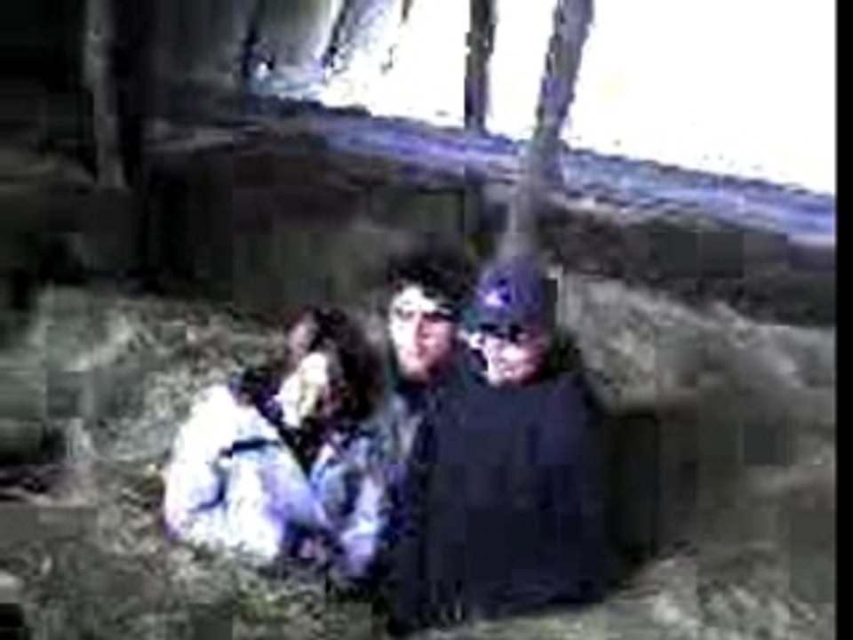 Dans la paille
