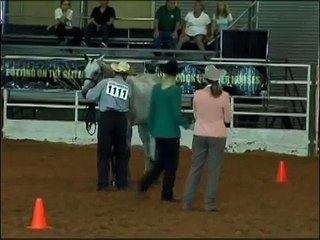 For Sale Yearling Quarter Horse Filly