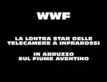 WWF LA LONTRA NEL FIUME AVENTINO