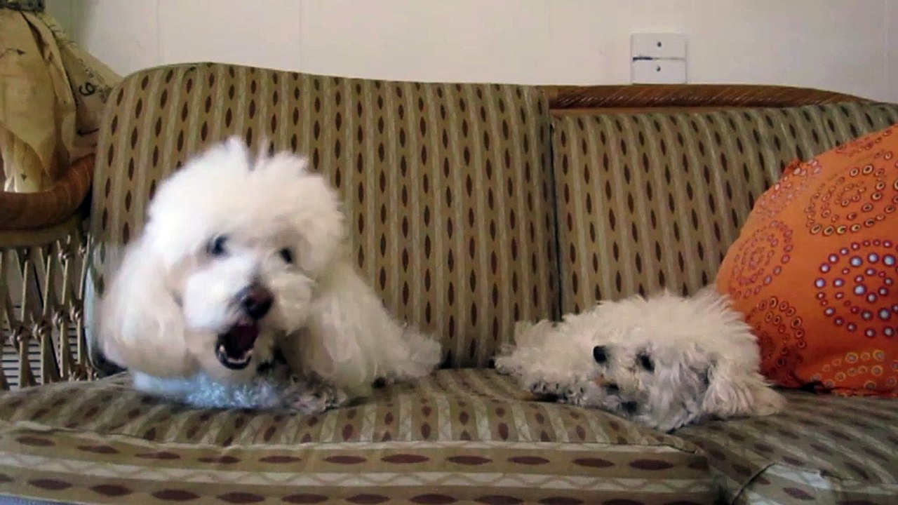 [#]카지노사이트 추천 ♀【NIP777。COＭ】 ♂ 온라인카지노/온라인블랙잭 $화끈한 금액충전 카지노사이트