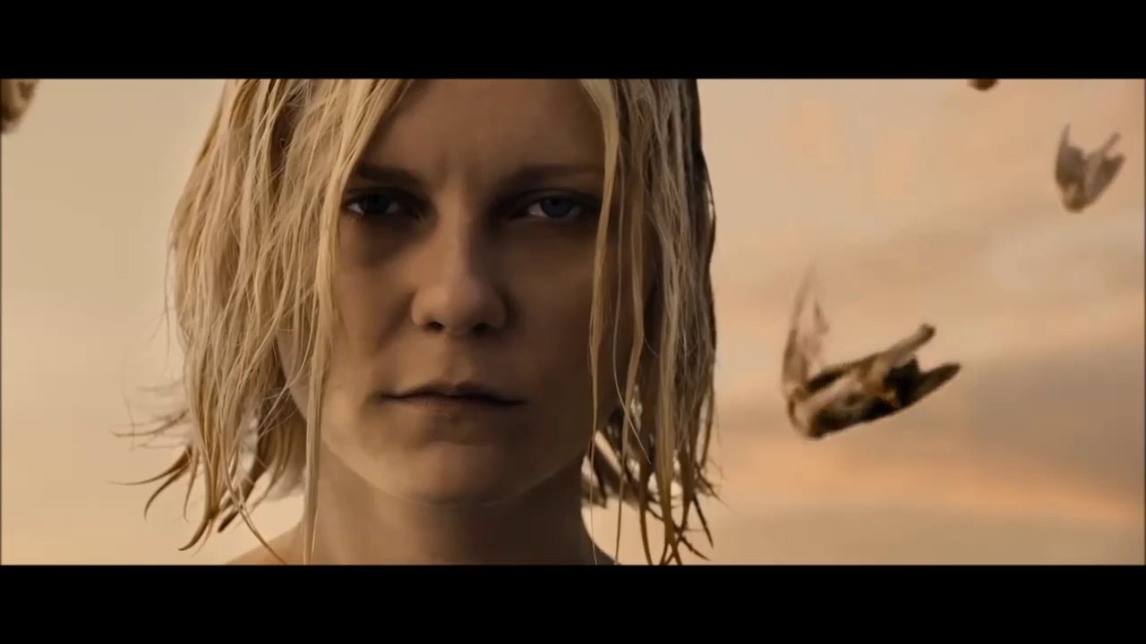 Birch Book - Sleepless Search