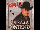 el tigrillo palma mix los corridos mas chingones