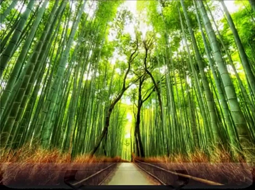 Most Amazing Photos of Art, Nature, Illusions 2015