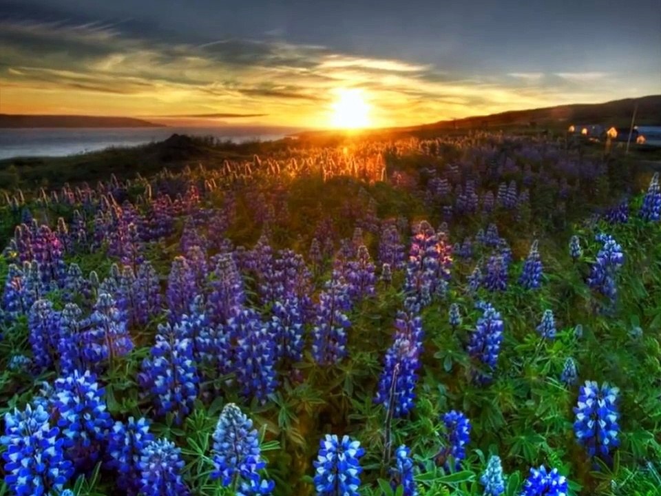 Rumi - Out beyond ideas...there is a field...
