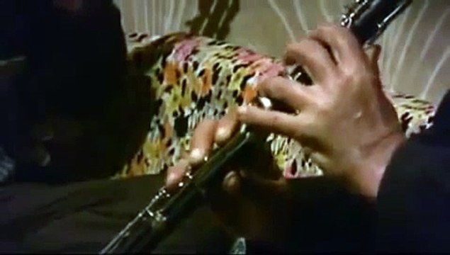 klarnet cümbüş darbuka çiftetelli( kubilaydan)