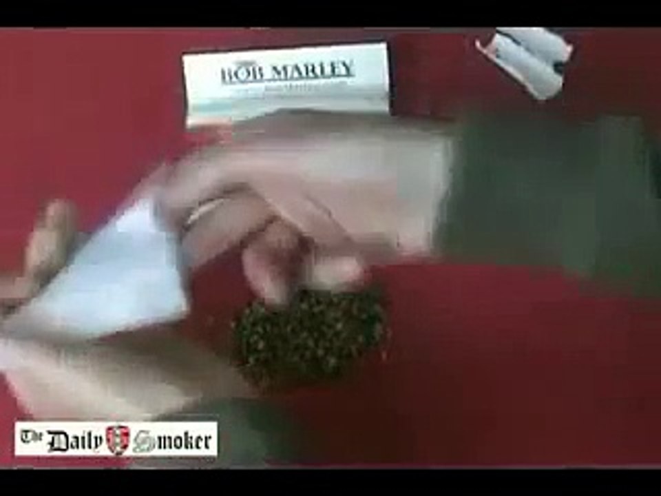 DailySmoker - How to roll a joint - Dutch Tulip