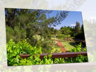 LWP Project Showcase - Ellenbrook, The Glades at Byford & Trinity at Alkimos