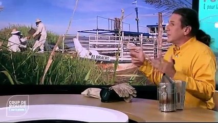 Les Abeilles et Eric Tourneret / Coup de pouce pour la planète