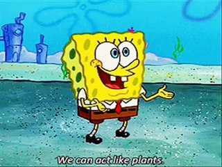 Spongebob Sings Timber