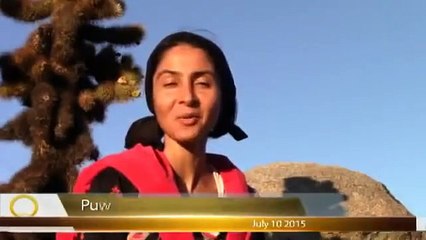 The False Prophet Pope Francis calls for New World Order - Mark Of The Beast 666