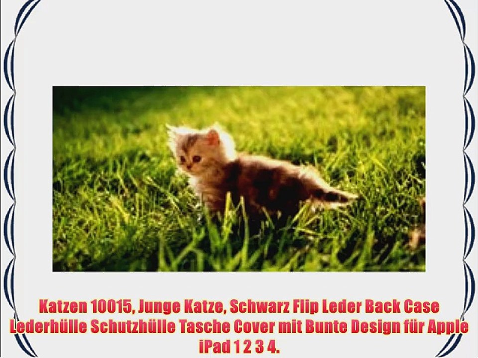 Katzen 10015 Junge Katze Schwarz Flip Leder Back Case Lederh?lle Schutzh?lle Tasche Cover mit