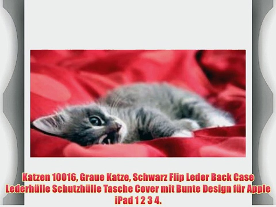 Katzen 10016 Graue Katze Schwarz Flip Leder Back Case Lederh?lle Schutzh?lle Tasche Cover mit