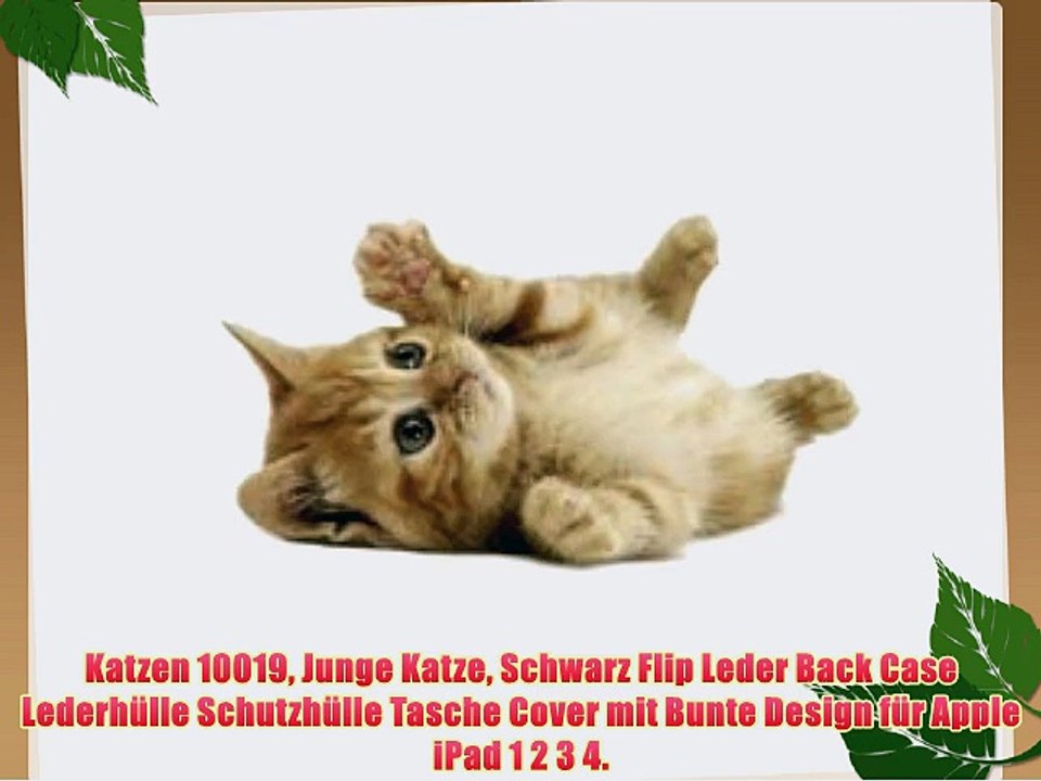 Katzen 10019 Junge Katze Schwarz Flip Leder Back Case Lederh?lle Schutzh?lle Tasche Cover mit