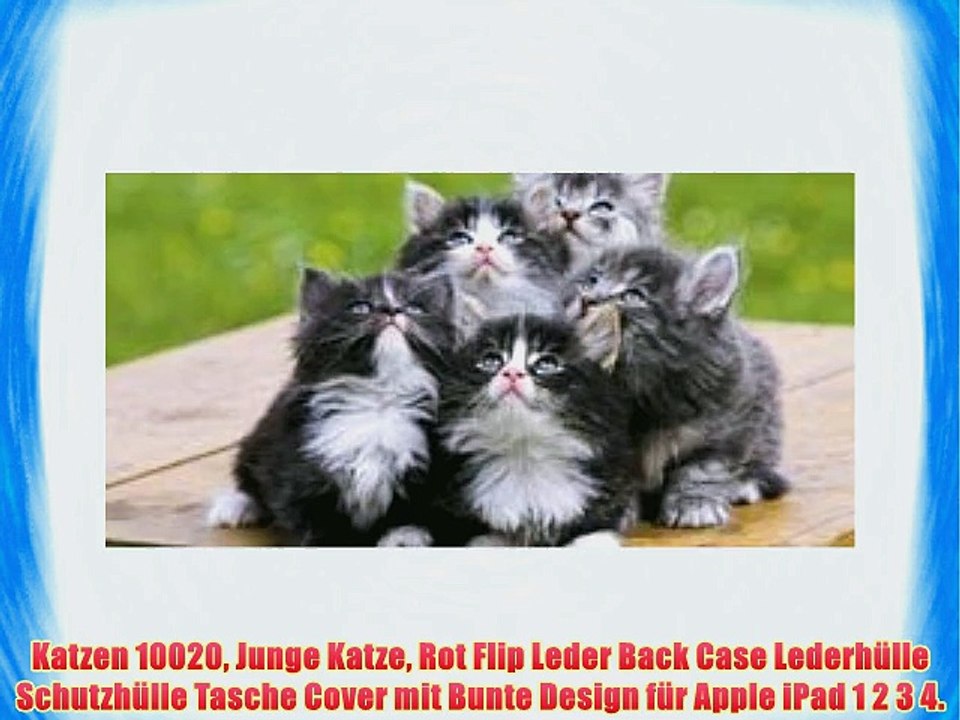 Katzen 10020 Junge Katze Rot Flip Leder Back Case Lederh?lle Schutzh?lle Tasche Cover mit Bunte