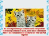 Katzen 10021 Junge Katze Schwarz iPad 4 3 2 Smart Back Case Leder Tasche Shutzh?lle H?lle -