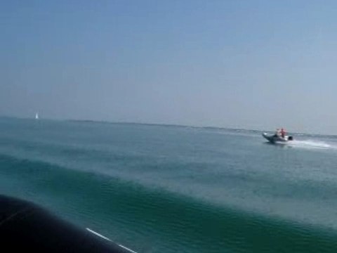 1ere sortie avec the fox