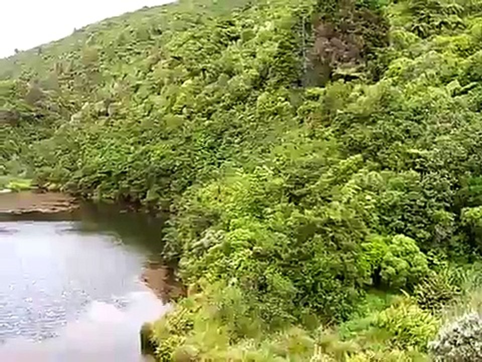 On top of Karori Wildlife Sanctuary Dam