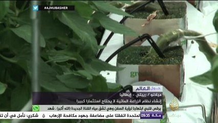 هندسة طيران تنجح في إنبات طماطم على ارتفاع أكثر من ١٥ متر