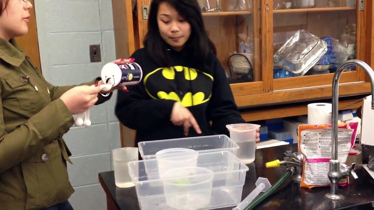 Solar Powered Water Desalination