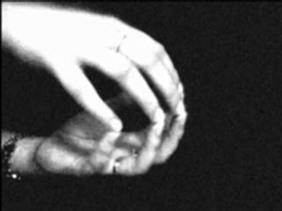 Il n'y a pas d'Amours heureux-Brassens