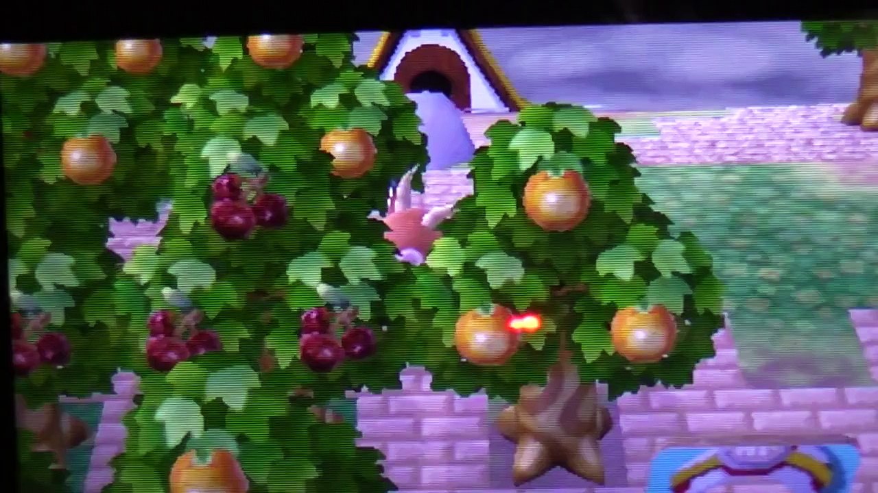 とびだせどうぶつの森　家を海の中に建ててみたｗｗ（家をありえない所に建てるバグ） 【HD】