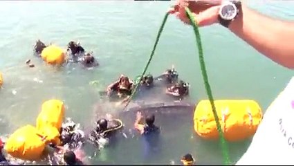 اخراج سمكة القرش الحوت من مرفأ المارينا