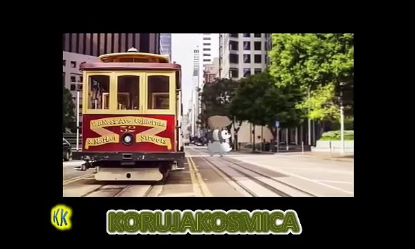 Ursos Sem Curso Todas as chamadas #pilhadeursos