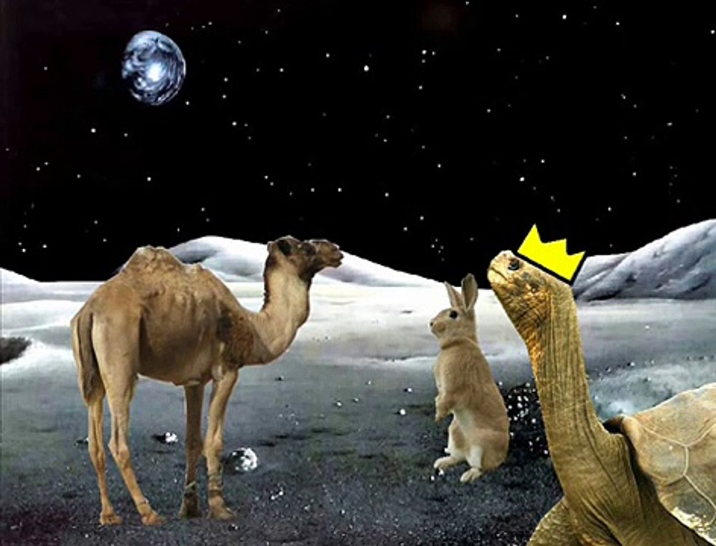 Space Camel