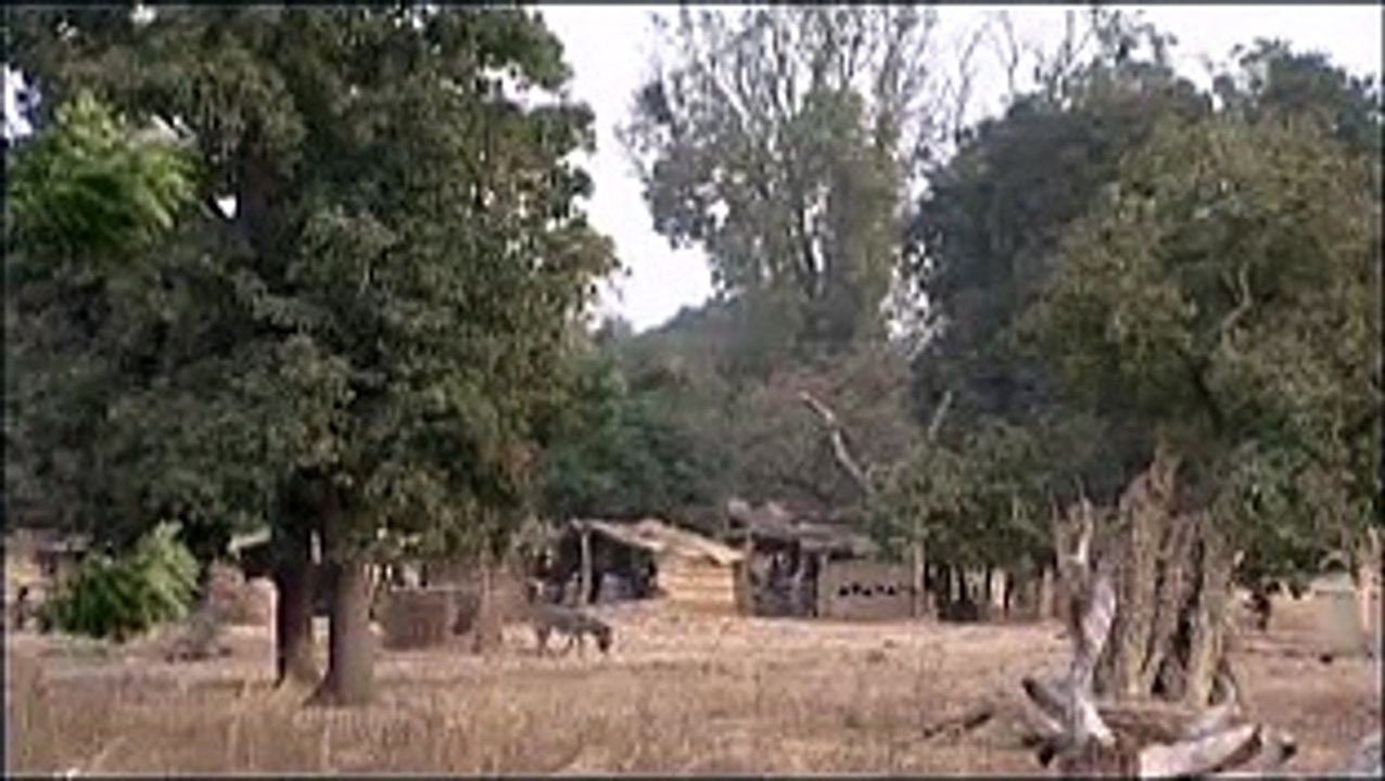 Film en langue Wolof, English captions : Les orphelins "Entre nos mains" (Global Dialogues)