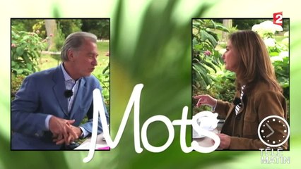 Mots-America: Deux Romans sur Héroïnes Afro-Américaines ✨