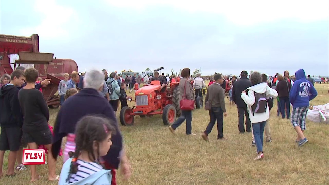 Triaize : 32ème Fête de la bouse