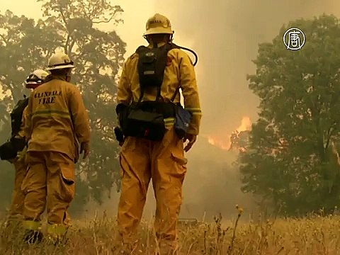 Лесные пожары в Калифорнии: погиб пожарный