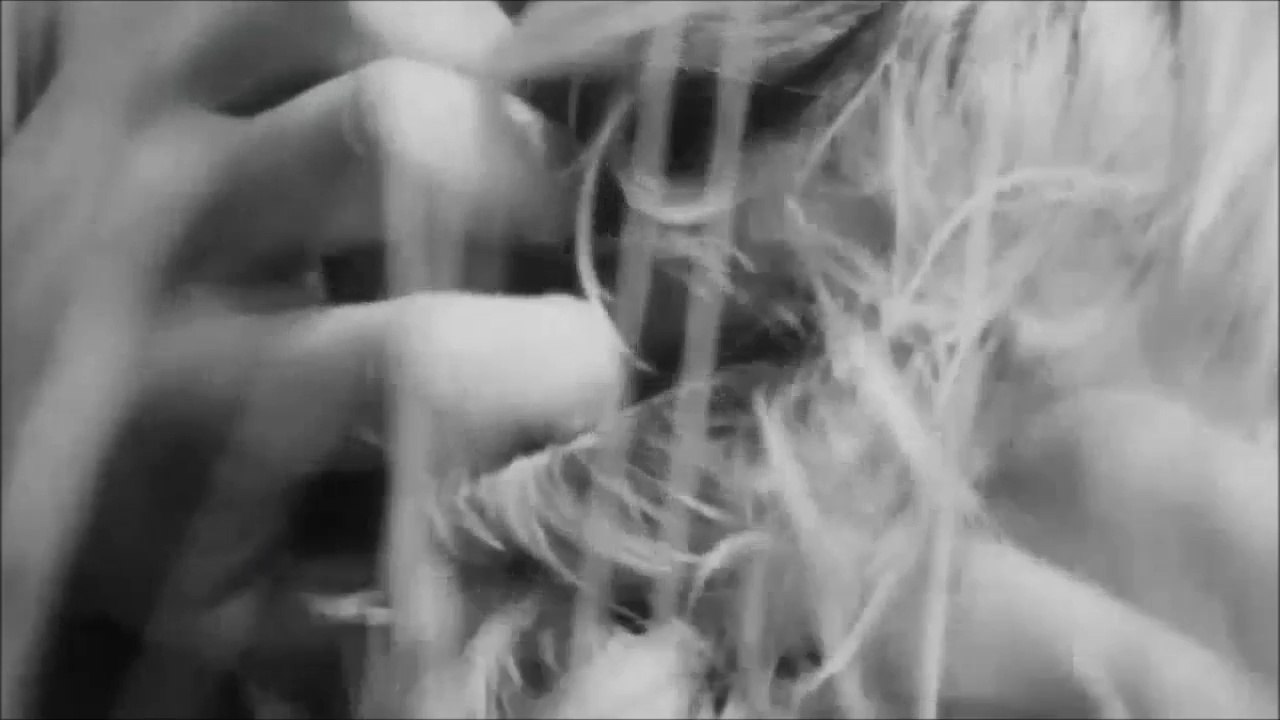 Nature And Organisation  - To You