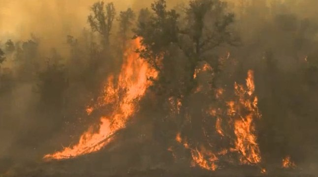La Californie dévorée par les flammes