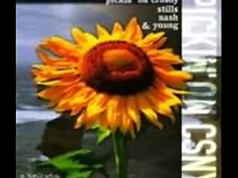 CSN - Just a Song Before I Go