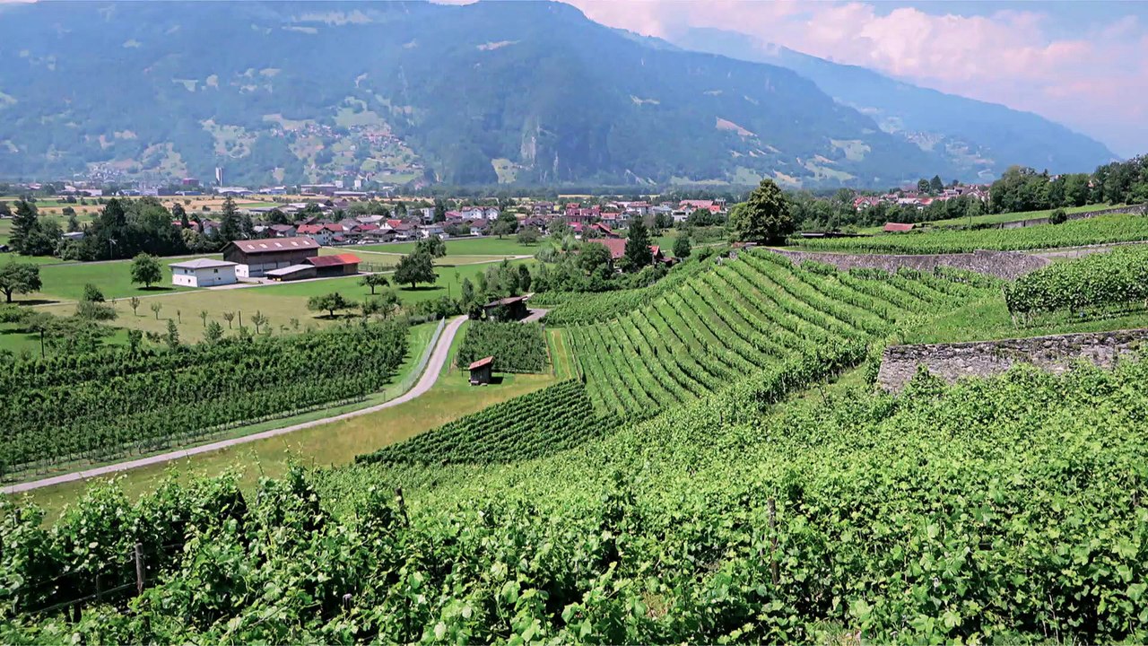 V?loroute rhin d?Andermatt ? Karlsruhe via Bale