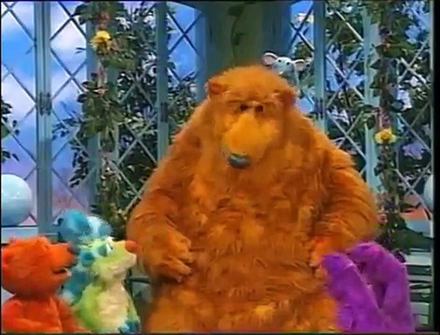 Bear Cha cha cha ORIGINAL video Dailymotion