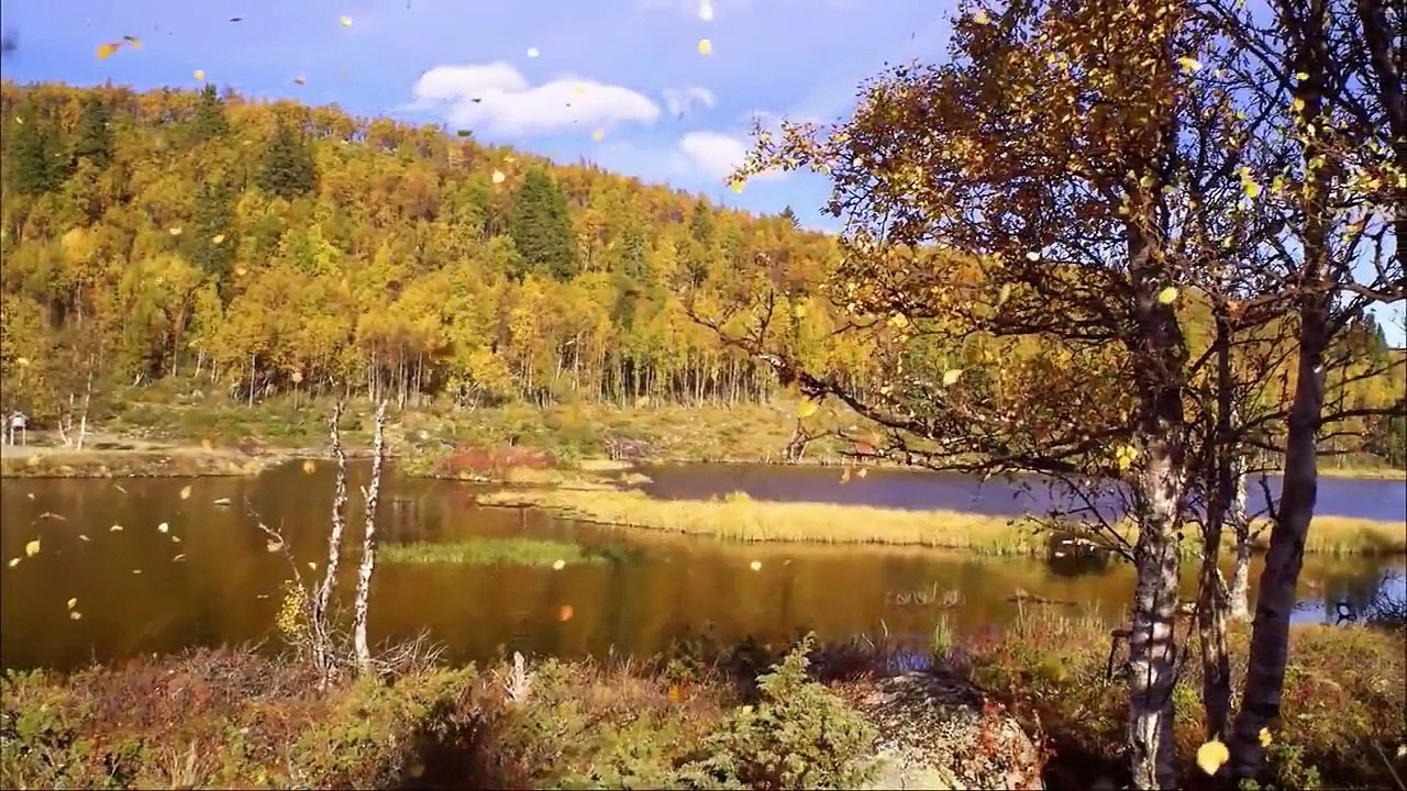 The Beauty Of Norway