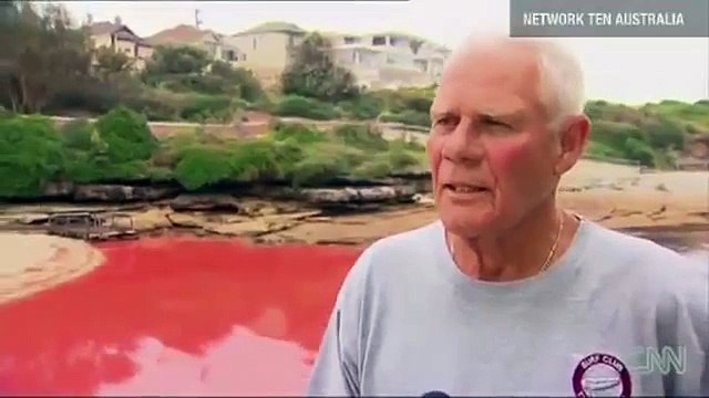 Blood Red Beaches In Australia November 27 2012