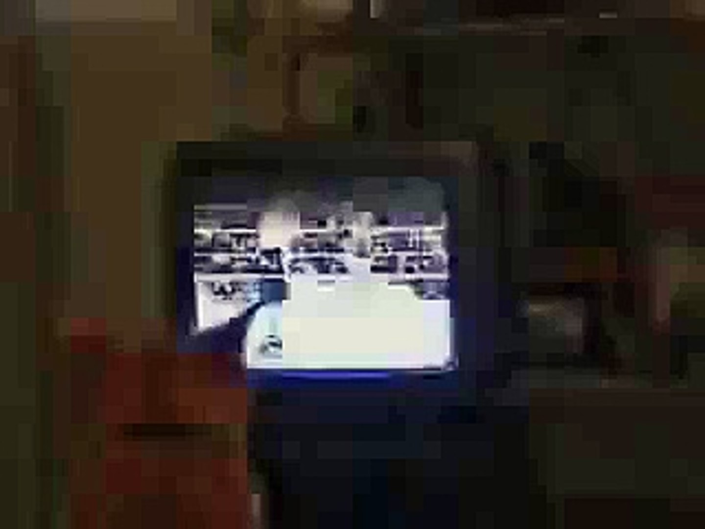 Приколы животных