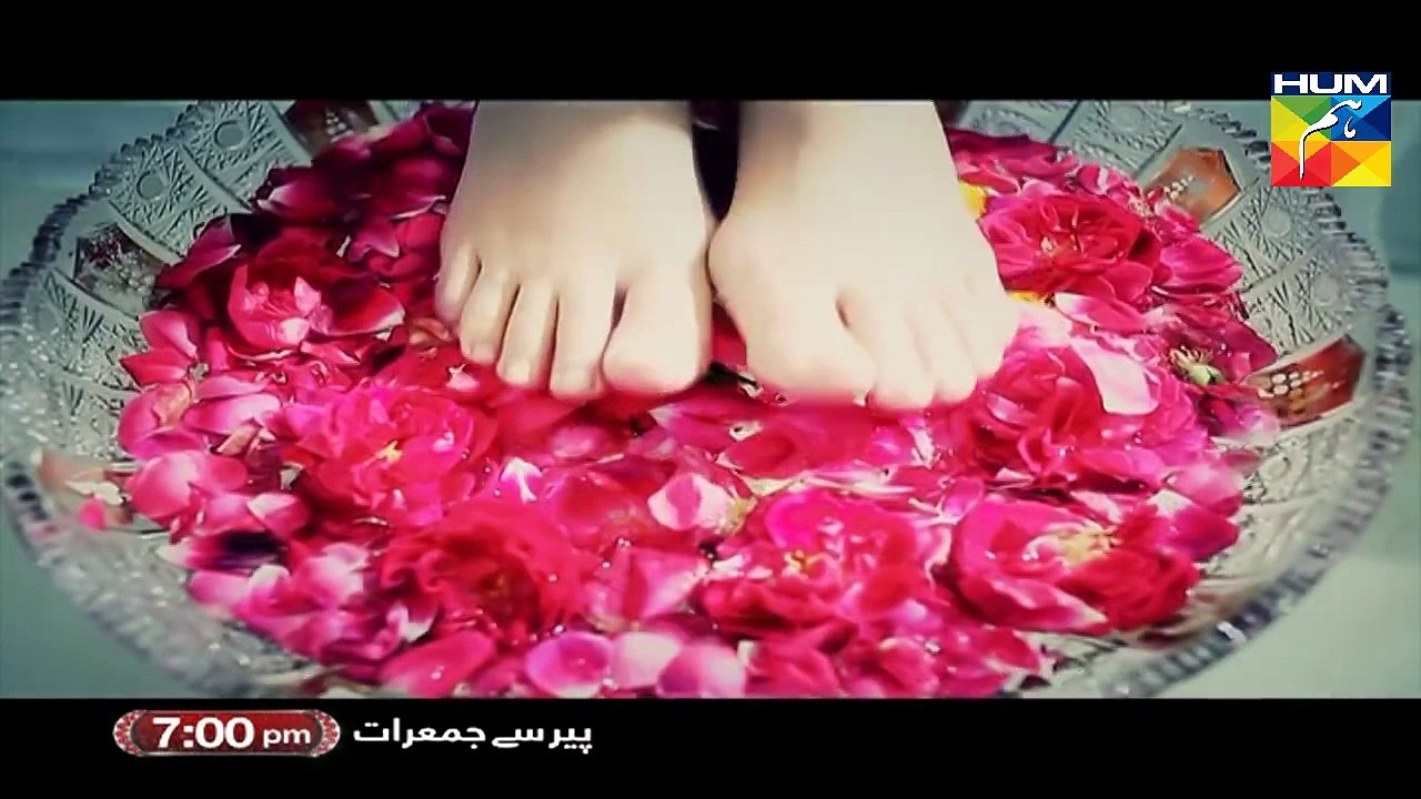 Ishq Ibadat OST Hum Tv