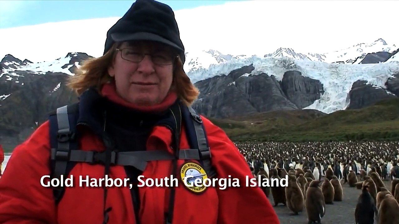Gold Harbor, South Georgia Island