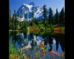 Un mundo sin dinero, sin dar valor monetario a los recursos