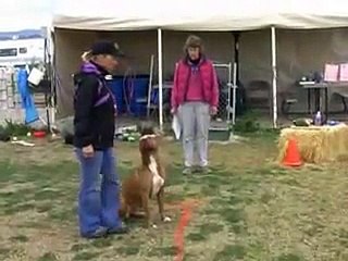 Capone - Mondio ring level 1, Oxnard, CA - Feb.09