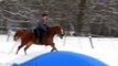 Snow makes horses troublemakers Incl Bucks and Fall